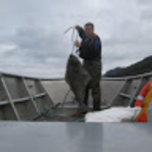 Meet your Posher, Jace